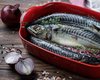 Недорого та смачно. Рецепт запеченої в духовці скумбрії