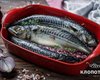 Недорого та смачно. Рецепт запеченої в духовці скумбрії