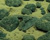 На дне глубокого океана найдены зубы гигантского хищника: размером с ладонь и покрыты металлом (фото)
