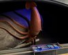 Гигантский кашалот пожирает кальмара: как выглядит самая жуткая диорама в мире (видео)