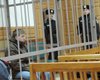 Еще одного активиста Майдана выпустили из-под ареста 
