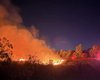Во Франции из-за лесных пожаров задержали сотни человек: что известно
