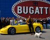 Желтая ракета: в румынской глубинке обнаружили уникальный Bugatti Михаэля Шумахера (видео)