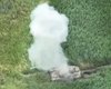 Вспыхнул посреди поля: ВСУ показали, как дрон поразил танк ВС РФ (видео)
