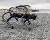 "Ему никогда не надоест": робота-собаку научили собирать мусор необычным способом (видео)