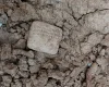 Такого ніхто не чекав: археологи відкопали клинописну табличку з неочікуваними записами