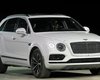 Bentley выпустит для веганов автомобиль из грибов и медуз