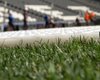 В сентябре на НСК Олимпийский начнут стелить газон из Словакии