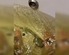Мутная вода в Харькове: коммунальщики ответили, безопасна ли она и в чем причина