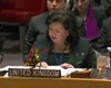 Великобритания в ООН заявила об ущемлении прав украинцев в Крыму