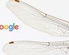 Гендиректор Google даст показания перед Конгрессом США по вопросу Dragonfly