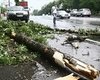 Буря в Киеве стала причиной ДТП и повалила десятки деревьев 