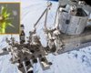 На внешнюю поверхность МКС на 9 месяцев поместили мох: результат удивил ученых