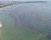 Черное море около Одессы стало красным