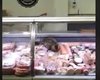В Киеве в мясном отделе супермаркета нашли жующего колбасу кота
