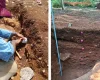 Тайные сады майя: как древние дома обеспечивали жителей пропитанием (фото)
