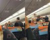 Пассажиры навеселе устроили громкую драку на борту, заставив самолет совершить экстренную посадку (фото)