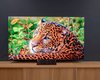 Назван лучший телевизор с RGB-подсветкой 2026 года: Sony против Samsung (фото)