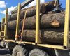 В Закарпатье сорвался в пропасть лесовоз