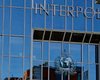 С сайта Интерпола исчезла информация обо всех украинских экс-чиновниках