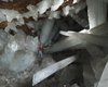 Під поверхнею Землі є печера, повна гігантських кристалів: хто помістив їх туди (фото)