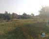Полицейские и охотник спасли жителей села от взбесившегося быка