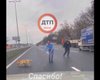 Водитель авто помог перейти испуганным собакам Бориспольскую трассу (видео)
