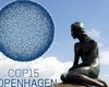 В Копенгагене решили будущее климата планеты. Принят итоговый документ саммита