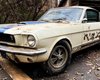 Редчайший 57-летний Ford Mustang нашли в старом гараже: его хотели продать по запчастям (видео)