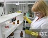 На Закарпатье - вспышка менингококковой инфекции