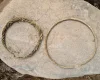 Археологи открыли древнюю могилу: никто не ожидал найти кольца Венделя (фото)