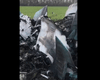 Под Запорожьем нашли обломки российского истребителя Су-34 из 559 авиаполка (видео)
