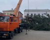 В центре Дубно установили елку, срубленную на кладбище (фото, видео)