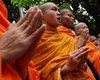 Жителей Таиланда попросили меньше жертвовать монахам, страдающим от ожирения
