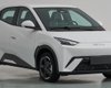 Китайская "Чайка": BYD готовит недорогой городской электромобиль за $9000 (фото)