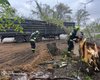 "Оранжевый" уровень опасности: синоптики прогнозируют шквалы и дожди в Украине (карта)