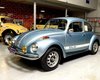 Ідеальний "Жук": особливий 53-річний Volkswagen Beetle продали за $80 000 (фото)
