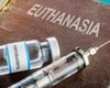 В Украине предлагают легализовать эвтаназию и ассистированное самоубийство (документ)