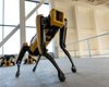 "Жуткая машина". Полиция Нью-Йорка отказывается от роботов-собак Spot (видео)