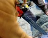 Австралиец с бензопилой потерял палец, защищаясь от вооруженного катаной соседа