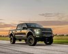 800 сил и 3,4 с до сотни: презентован экстремальный пикап Ford для бездорожья (видео)