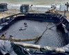 Нефтяное пятно из Туапсе приближается к дворцу Путина в Геленджике