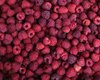 Для столовых власти купили малину по 672 гривны за килограмм