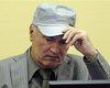 Адвокаты Младича потребовали отвода судьи трибунала
