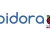 Для популярного мини-компьютера Raspberry Pi создали ОС Pidora
