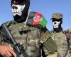 В США опасаются вербовки россиянами боевиков из числа афганских военных