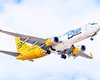 Украинский лоукостер Bees Airline останется без лизинговых самолетов на фоне угрозы вторжения РФ