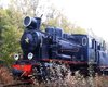 По Боржавской узкоколейке пустят старинный немецкий паровоз