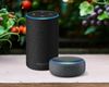 "Схвалив особисто Безос": розкрите ім'я людини, яка таємно озвучила Amazon Alexa