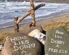 Поклонники "Гарри Поттера" заставили изменить трассу электросети, поскольку она проходила через могилу Добби